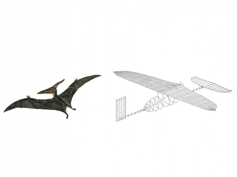 Pteroszaurusz-es-repulo(1024x768).png (pterosaurus, repülő, terv, )