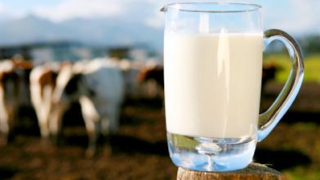 Tej(430x286).png (tej, )