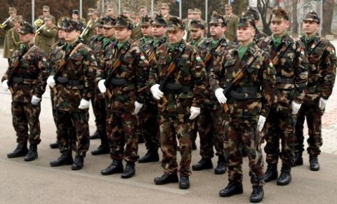 Magyar Honvédség (honvédség)