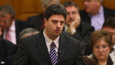 bárándy_gergely (bárándygergely, )