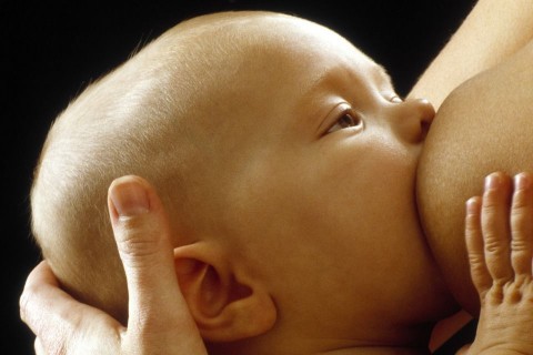 csecsemő (csecsemő, szoptatás, )