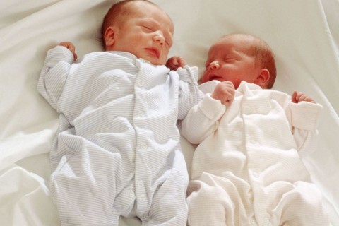 csecsemők (csecsemő, újszülött, )