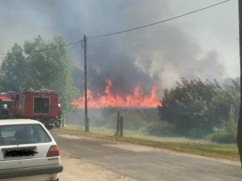 ég a nádas dunaszegen ()