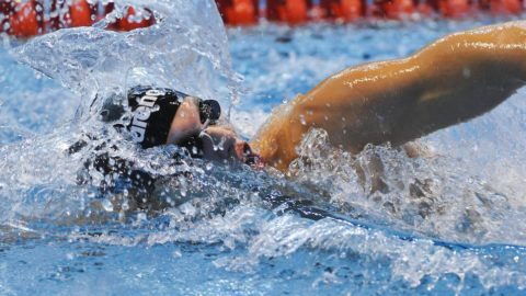 kozma dominik (kozma dominik)