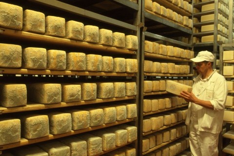 sajt-olasz (sajt, raktár, raktár, )