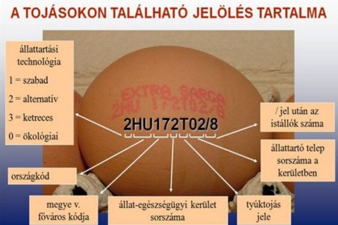 tojás-jelölés (tojás, jelölés, )