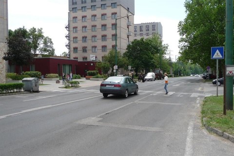 zebra-gyalogos(960x640).jpg ()