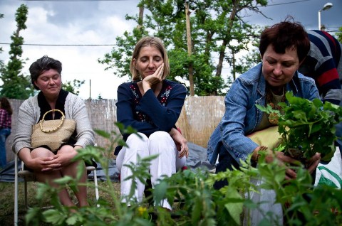 Ehető kert (kert, kertészkedés, wekerle-telep)