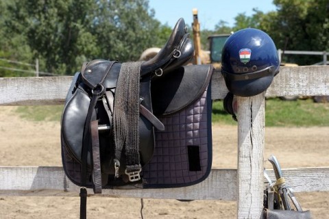 Határőr (Határőr)