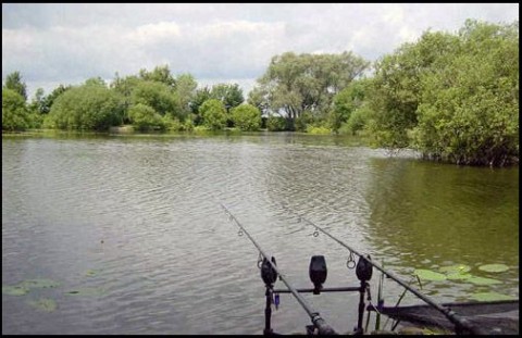 Horgásztó (horgász, tó, )