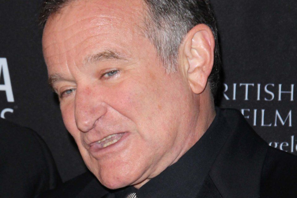 Robin Williams (Robin Williams)
