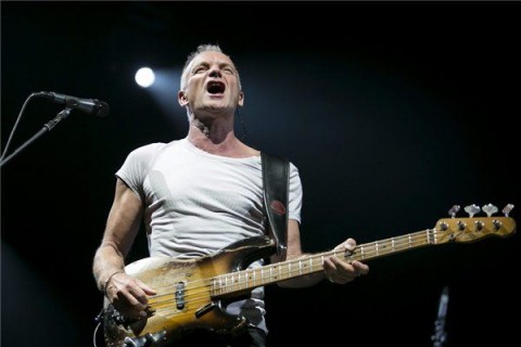 Sting (sting)