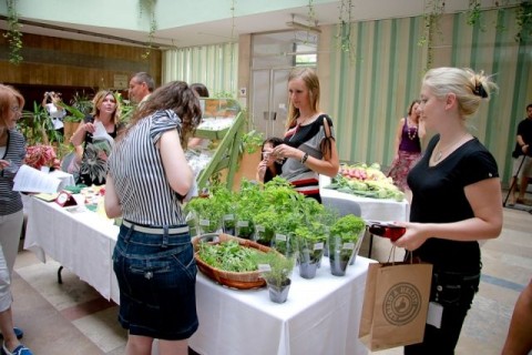 Tanyaprogram (Tanyaprogram)