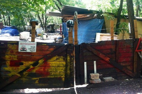 Terebes(960x640).jpg (hajléktalan)