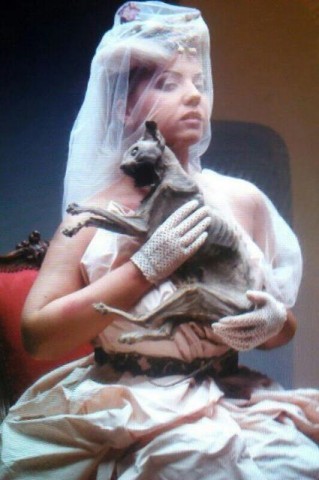 Tolvai Reni (tolvai reni, )