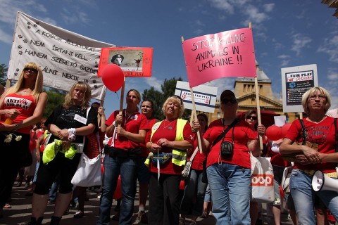 állatvédők tünetése (állatvédelem, állatvédők, tüntetés, )