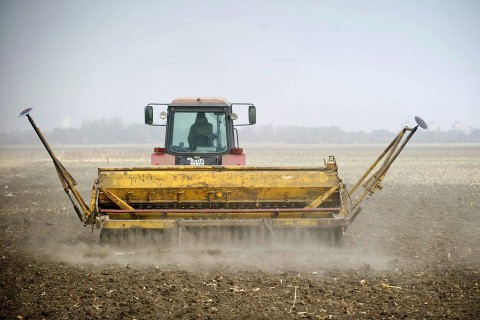 aratás (aratás, traktor, föld, )