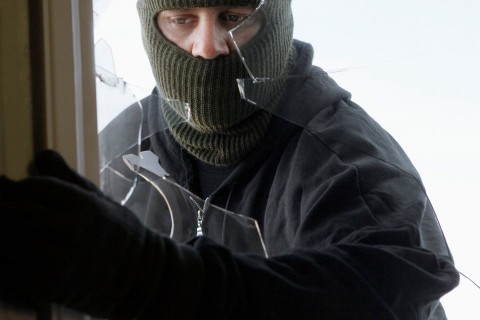 betörő (betörés, betörő)