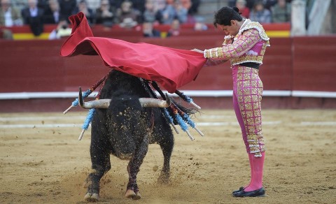 bikaviadal (bikaviadal)