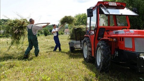 közmunkások (közmunka, )