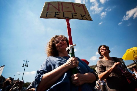 nem félek tüntető (tüntető,)