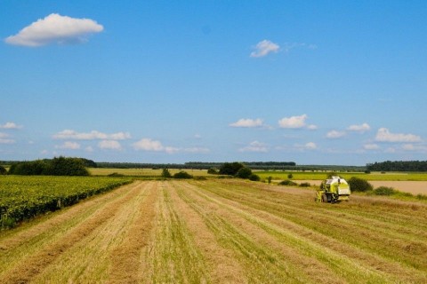 szantofold(210x140)(2).jpg (föld, szántóföld, )