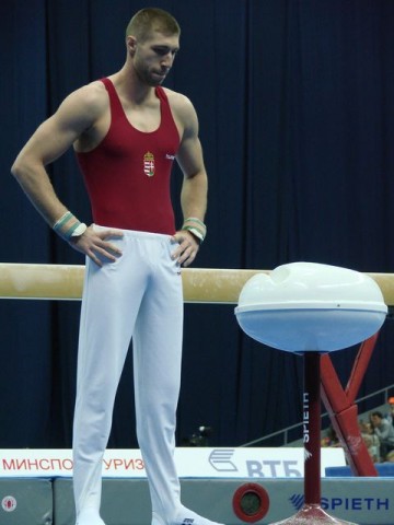 Berki Krisztián (berki krisztián, )