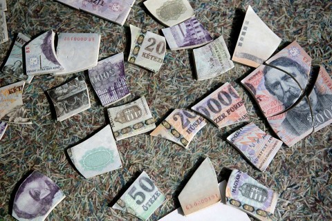 Forint(960x640)(2).jpg ()