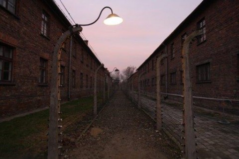 auschwitz (auschwitz)
