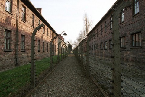 auschwitz (auschwitz, )