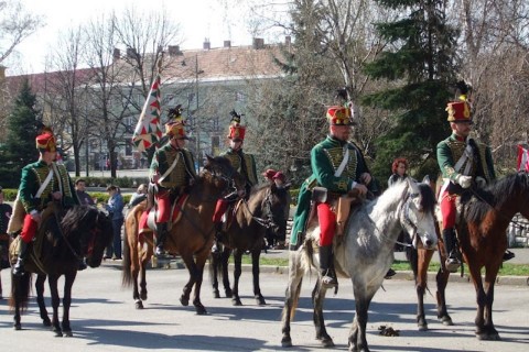 bakonyi-poroszkálók (bakonyi poroszkálók)