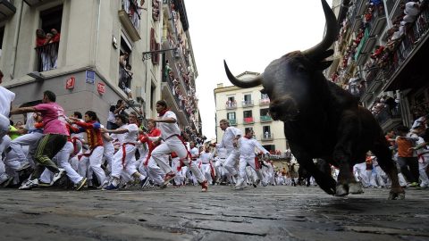 bikafuttatás (bikafutattás, pamplona)