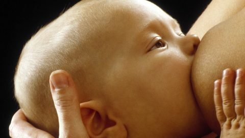 csecsemő (csecsemő, szoptatás, )