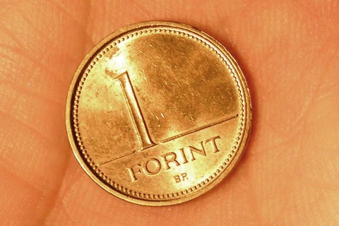 egyforintos(960x640)(1).jpg (egyforintos)