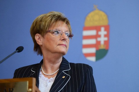 hoffmann-rozsa(210x140)(2).jpg (hoffmann rózsa, )