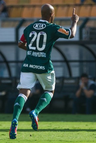 palmeiras (palmeiras)