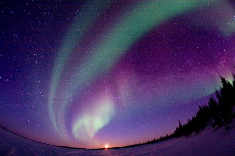 sarki fény (sarki fény, )