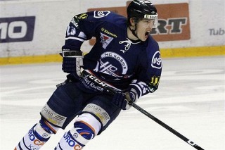 scurko(960x640).jpg (scurko)