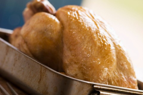 sültcsirke (sültcsirke, )