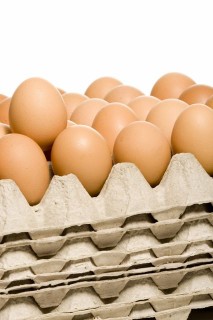 tojás (tojás, )