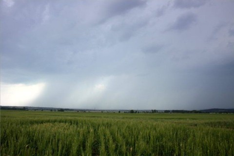 viharfelhők (ingyenes, )