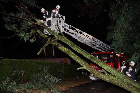 viharkar(960x640).jpg (viharkár)