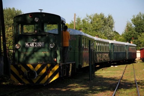 zsuzsivasút (zsuzsivonat)