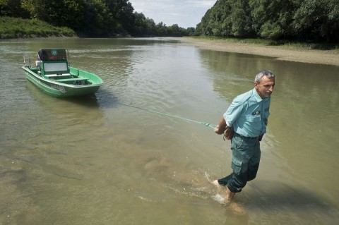 Duna (ingyenes, duna, )