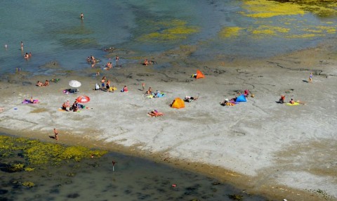Kiapadt Balaton (balaton, vízpart)