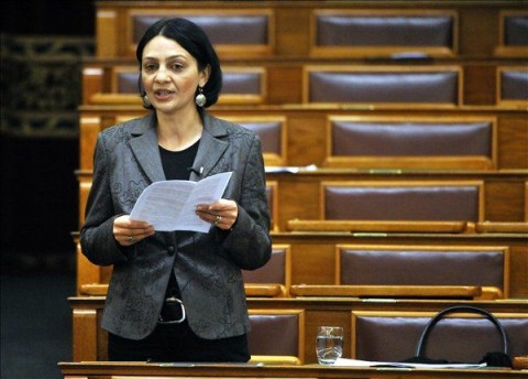 Osztolykán Ágnes (osztolykán ágnes, lmp, )