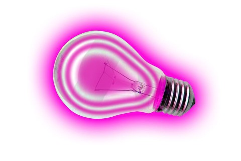 Rózsaszín villanykörte (rózsaszín, villanykörte, körte, )