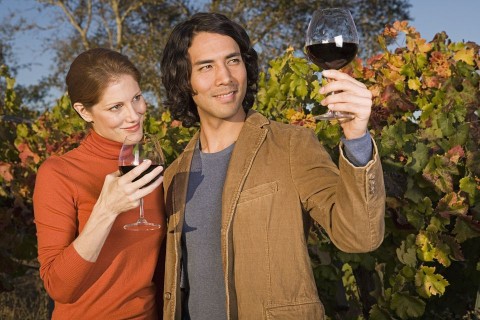 bor, szőlő (bor, szőlő)