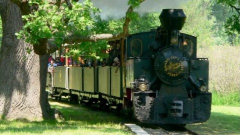 gemenc (gemenci kisvasút, )