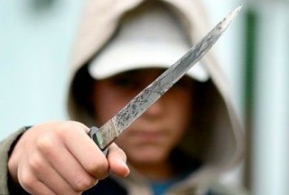 kes(210x140)(3).jpg (kés, fiatal, )